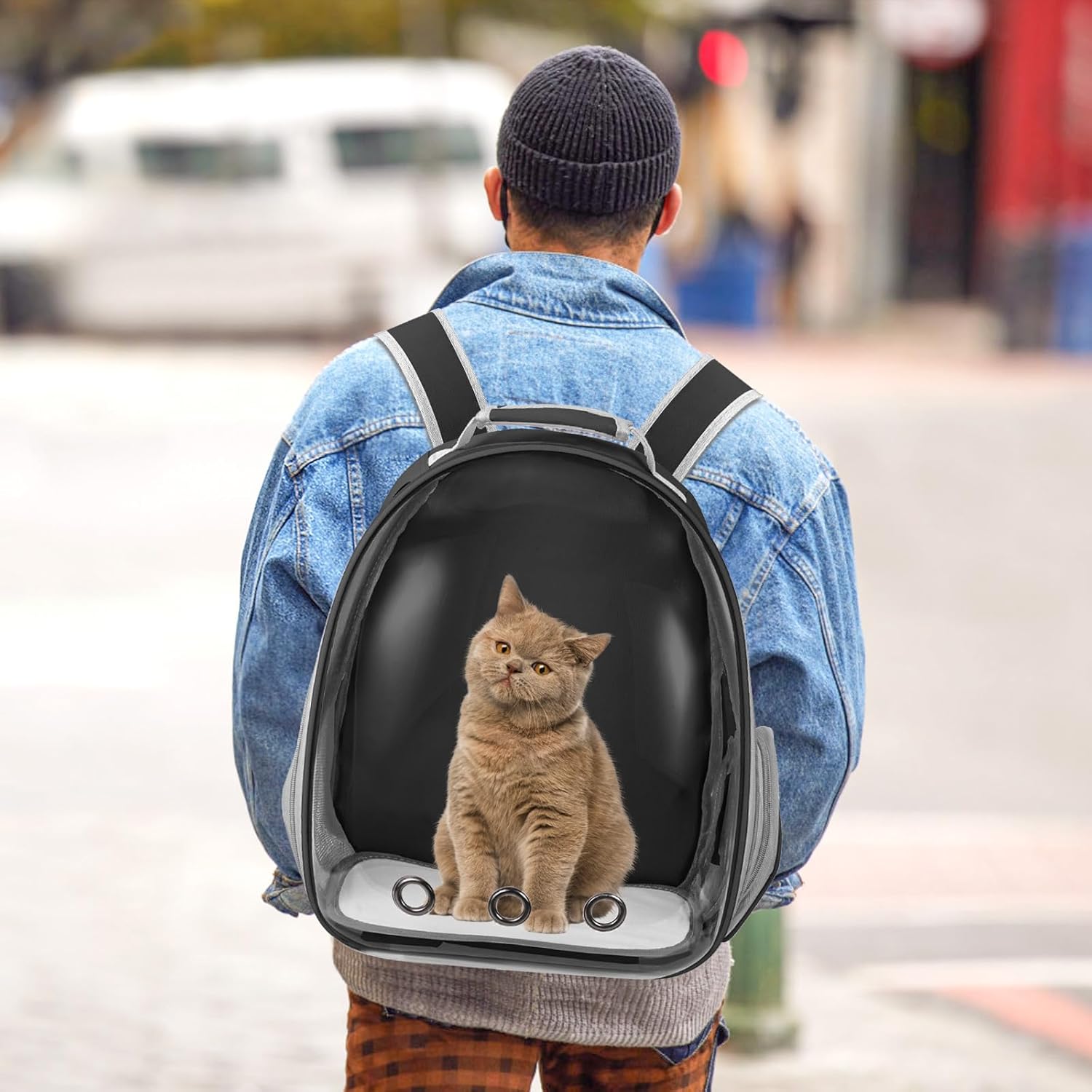 Travel with pets