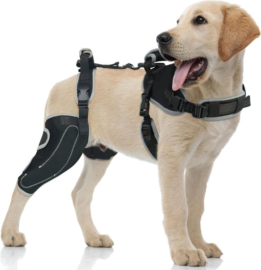Dog Knee Brace – ACL & Patella Support, Adjustable & Breathable (M, Both Legs)