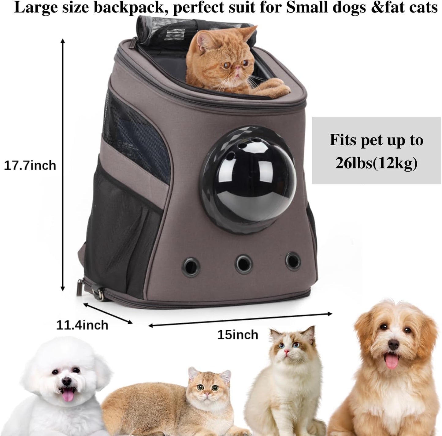 Large Pet Carrier Backpack – Bubble Backpack Carrier for Cats & Puppies, Airline-Approved