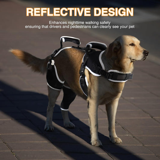 Dog Knee Brace – ACL & Patella Support, Adjustable & Breathable (M, Both Legs)