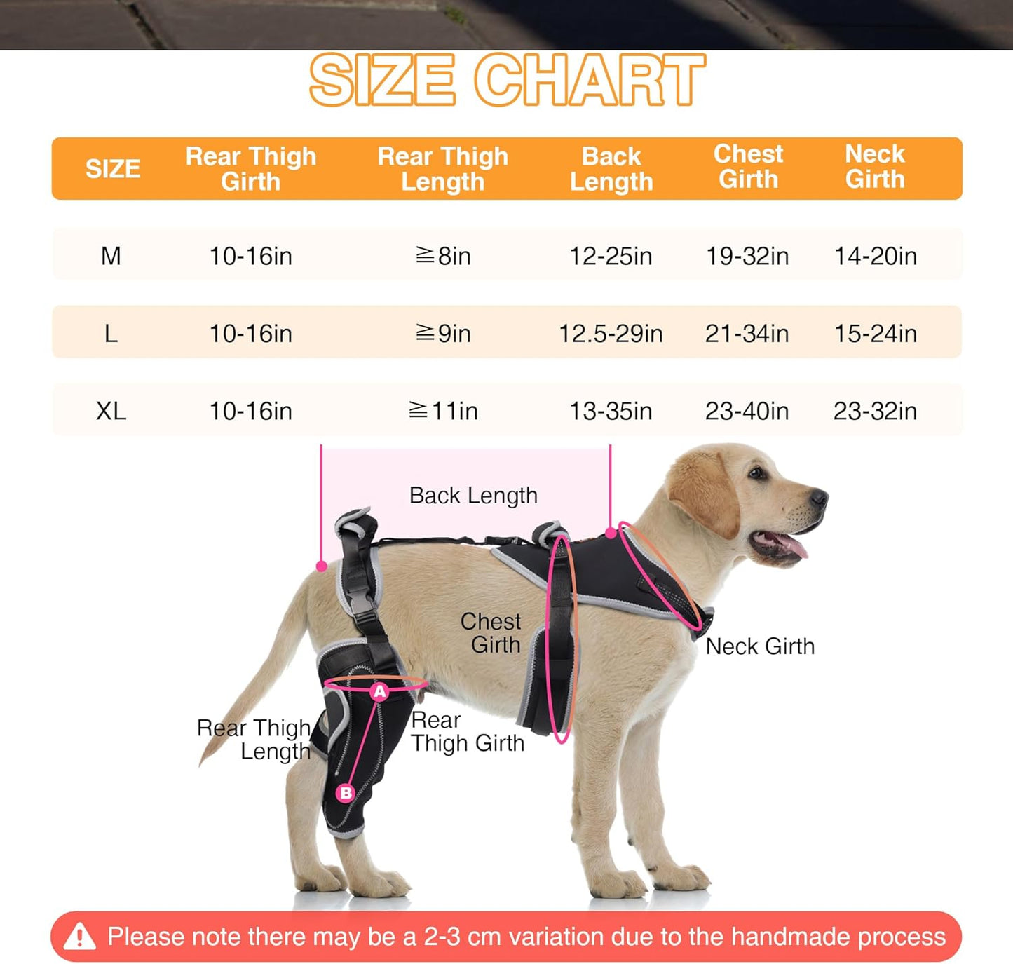 Dog Knee Brace – ACL & Patella Support, Adjustable & Breathable (M, Both Legs)