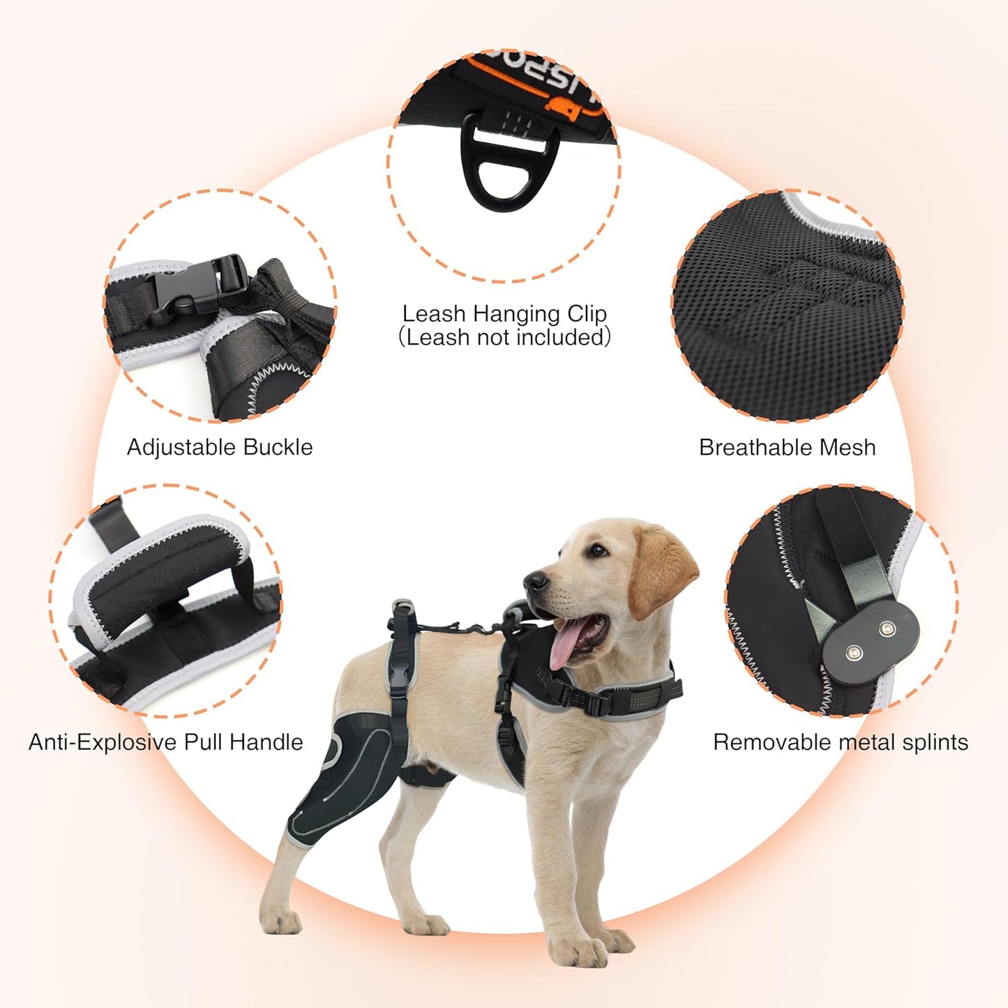 Dog Knee Brace – ACL & Patella Support, Adjustable & Breathable (M, Both Legs)